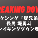 堤勇斗(つつみゆうと)ブレイキングダウン参戦｜ボクシング堤駿斗の兄は強いのか？