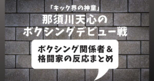 【那須川天心のボクシングデビュー戦】ボクサーや格闘家の評価・反応まとめ
