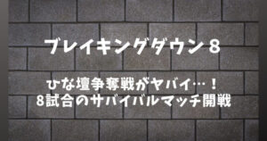 【Breaking Down8】ブレイキングダウン8のひな壇争奪戦がヤバい！いきなり8試合サバイバルマッチ開戦