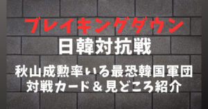 【ブレイキングダウン8】秋山成勲率いる韓国人軍団と「日韓対抗戦」開幕！対戦カードや強さ＆見どころ紹介