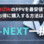 RIZINの視聴方法＆配信サービスを比較解説│「U-NEXT」がおすすめ！