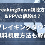 ブレイキングダウン視聴方法＆PPVの値段は？無料で視聴する方法も紹介