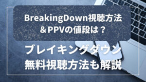 ブレイキングダウン視聴方法＆PPVの値段は？無料で視聴する方法も紹介
