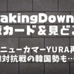 【BreakingDown】ブレイキングダウン8.5はいつ開催？対戦カード&見どころまとめ