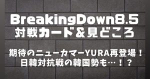 【BreakingDown】ブレイキングダウン8.5はいつ開催？対戦カード&見どころまとめ