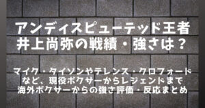 【ボクシング】井上尚弥の戦績・強さは？海外ボクサーからの世界的評価まとめ