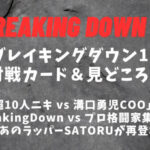 【BreakingDown10】ブレイキングダウン10│注目対戦カード＆勝敗予想まとめ【喧嘩自慢】