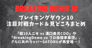【BreakingDown10】ブレイキングダウン10│注目対戦カード＆勝敗予想まとめ【喧嘩自慢】