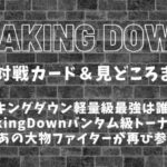 【BreakingDown11】ブレイキングダウン11注目対戦カード＆見どころまとめ