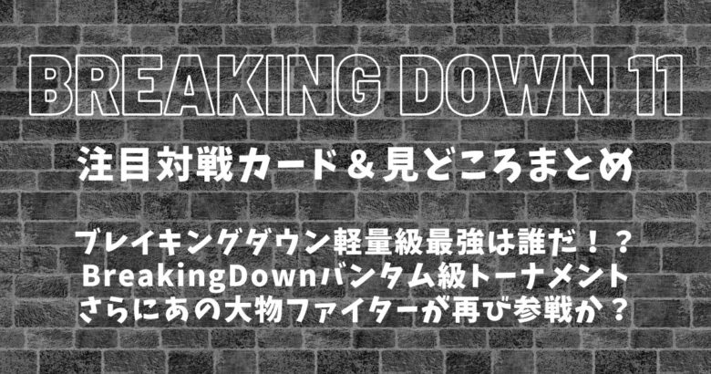 【BreakingDown11】ブレイキングダウン11注目対戦カード＆見どころまとめ