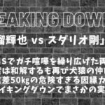 BreakingDown12「安保瑠輝也 vs スダリオ剛」決定│体重差50㎏ガチ喧嘩まとめ