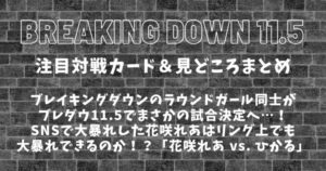 ブレイキングダウン11.5「花咲れあ vs. 浦西ひかる」因縁のラウンドガール対決が決定→試合中止に│対戦カードまとめ