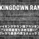 ブレイキングダウン強さランキング│BreakingDown最強の男は？